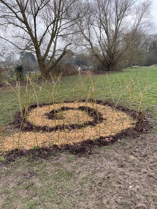 Willow path on field